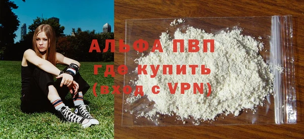 молекула духа Инсар