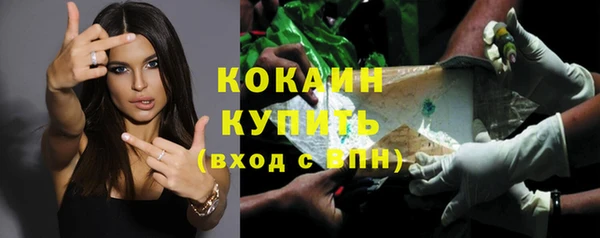шишки Иннополис
