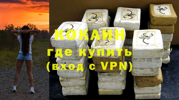 шишки Иннополис