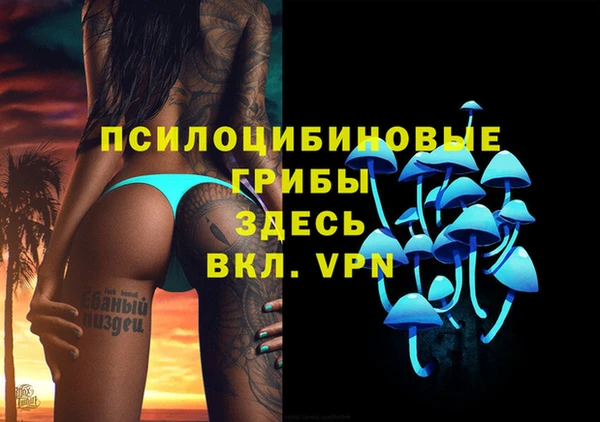 шишки Иннополис