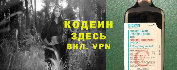шишки Иннополис