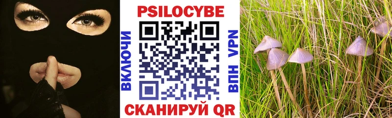 Галлюциногенные грибы Psilocybine cubensis Слободской